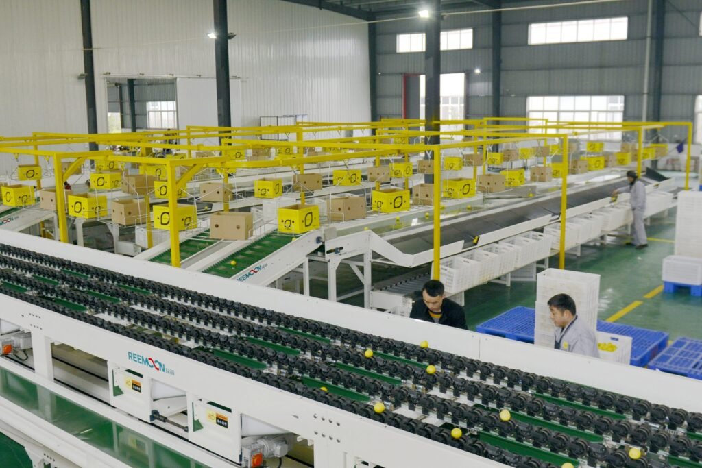 Clasificadora de frutas EUTECH