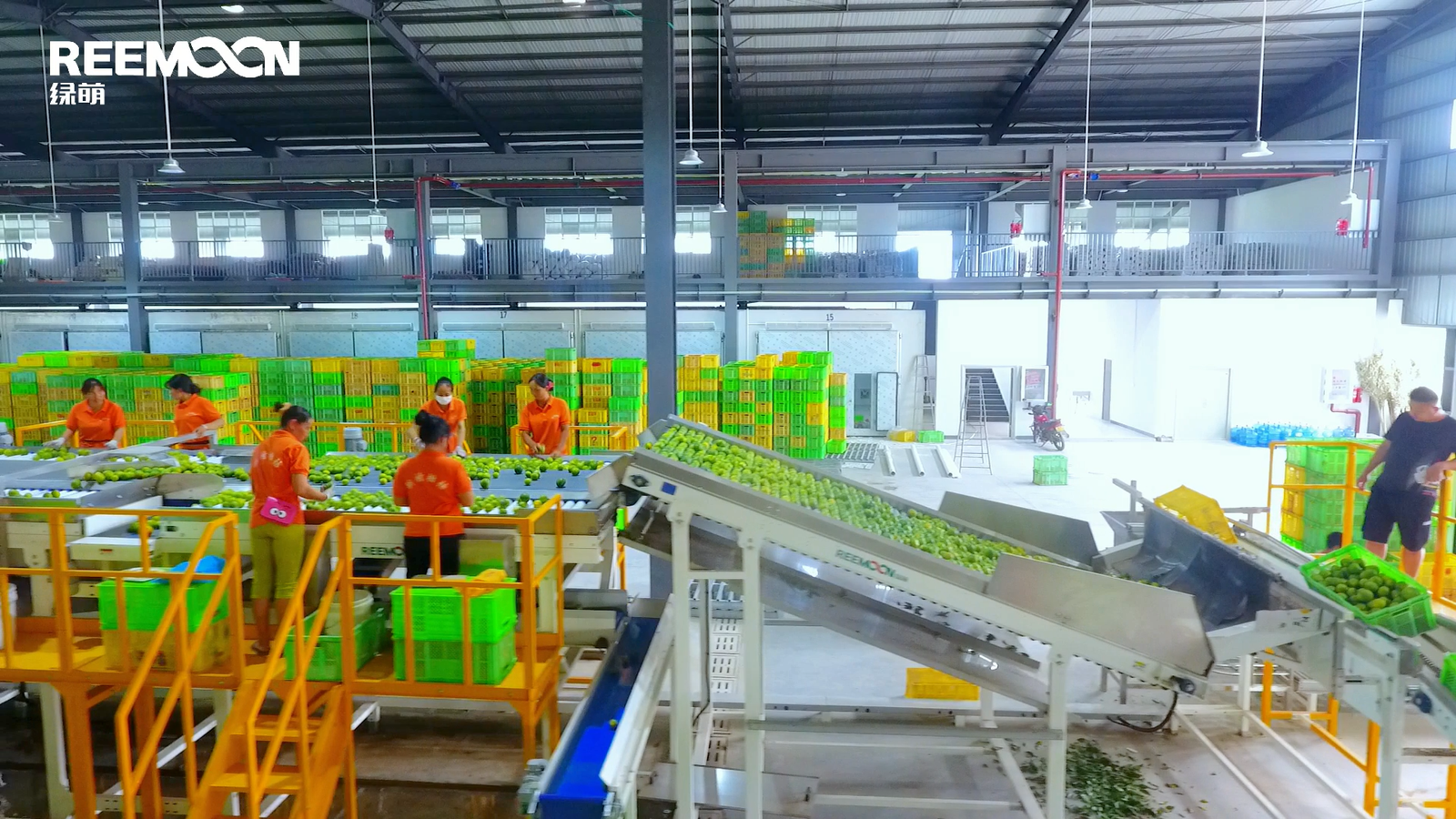 Clasificadora Limón